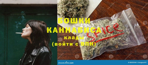 молекула духа Горнозаводск