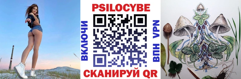 Купить где  Ковров  Псилоцибиновые грибы мухоморы 