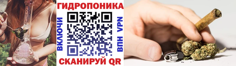 Бошки Шишки индика  Купить закладки  Ковров 